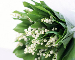 Muguet.jpg